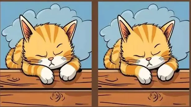 بازی فکری: قدرت مغز خود را آزمایش کنید.. سه تفاوت در این عکس‌ها را در 10 ثانیه بیابید