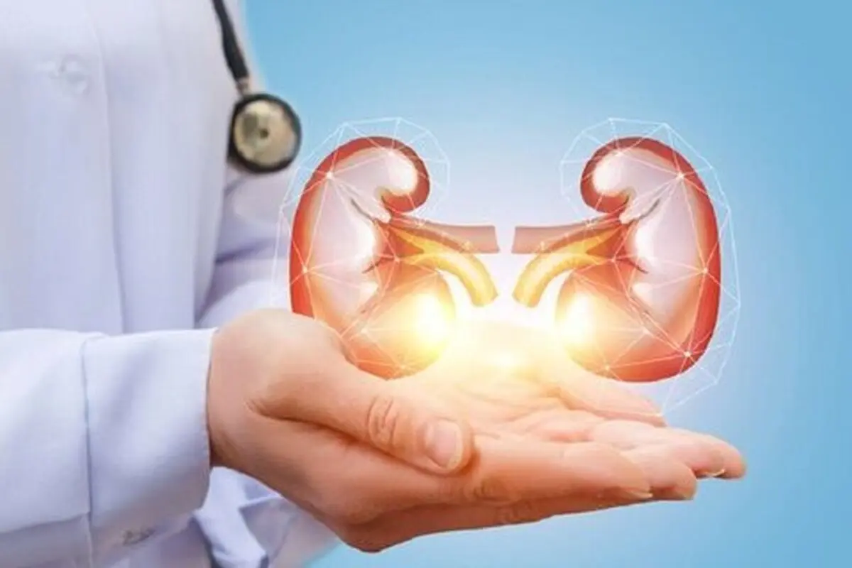 هشدار ! اگر این پنج علامت را دارید فکری به حال کلیه‌ تان بکنید

