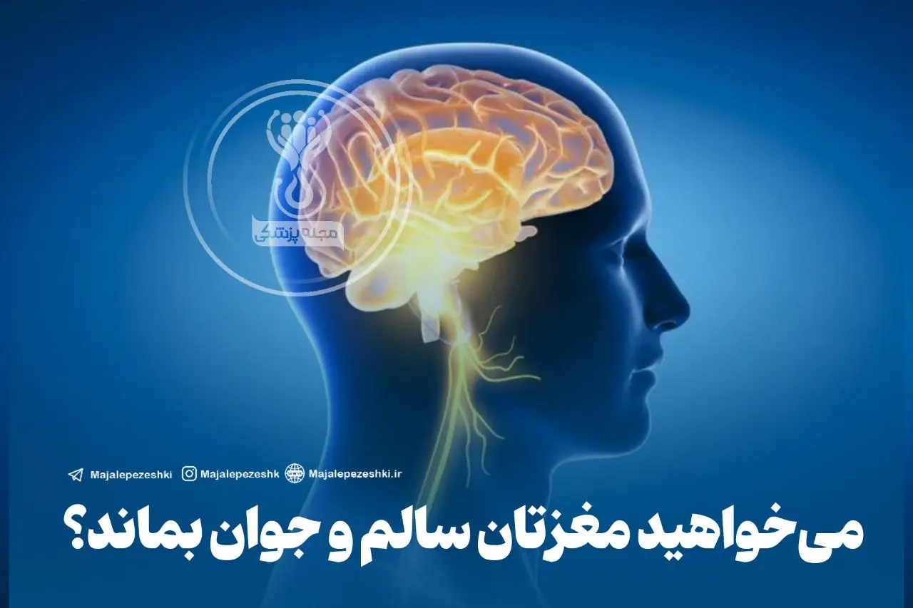 اگه میخوای مغزت همیشه سالم و جوان بمونه این خبر و از دست نده | توصیه متخصص دانشگاه واشنگتن برای جوانی مغز