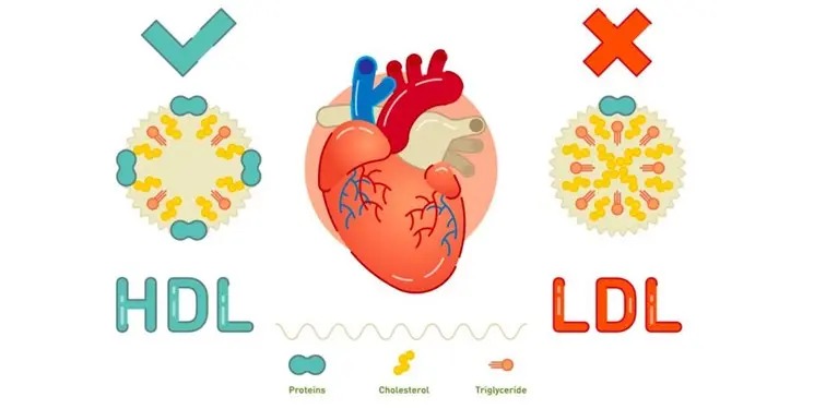  اگر کلسترول دارید اینجا کلیک کنید 