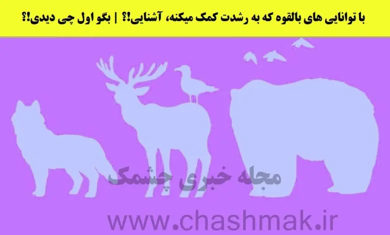 تست شخصیت شناسی | بگو اول چه حیوونی دیدی تا بگم چطوری میتونی رشد کنی