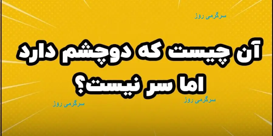 چیستان روز | آن چیست که دوچشم دارد اما سر نیست؟