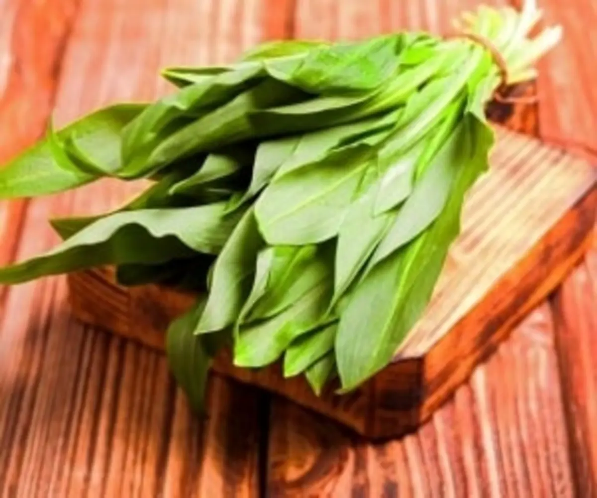 این گیاه همه فن حریف مخصوص آقایان است | ابرغذایی که درمان هر دردی است