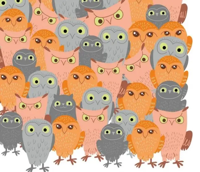 گربه کجا پنهان شده است؟ فقط چشم عقابی ها می‌توانند آن را در ۵ ثانیه پیدا کنند