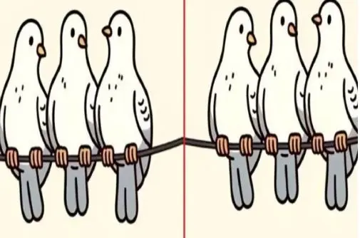 بازی فکری: 3 اشتباه تصویرو تو یه نیم نگاه بگی تا عمر داری آلزایمر نمیگیری!