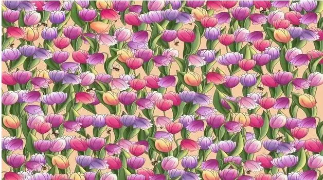 بازی فکری: اگر بینایی شما قوی است، در عرض 10 ثانیه زنگوله را پیدا کنید