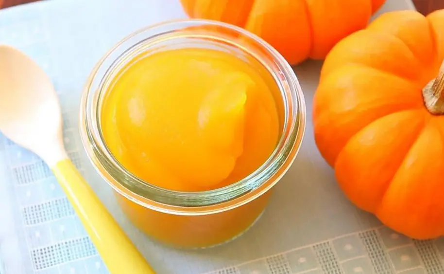 طرز تهیه پودینگ کدو حلوایی؛ یک دسر جذاب و پاییزی