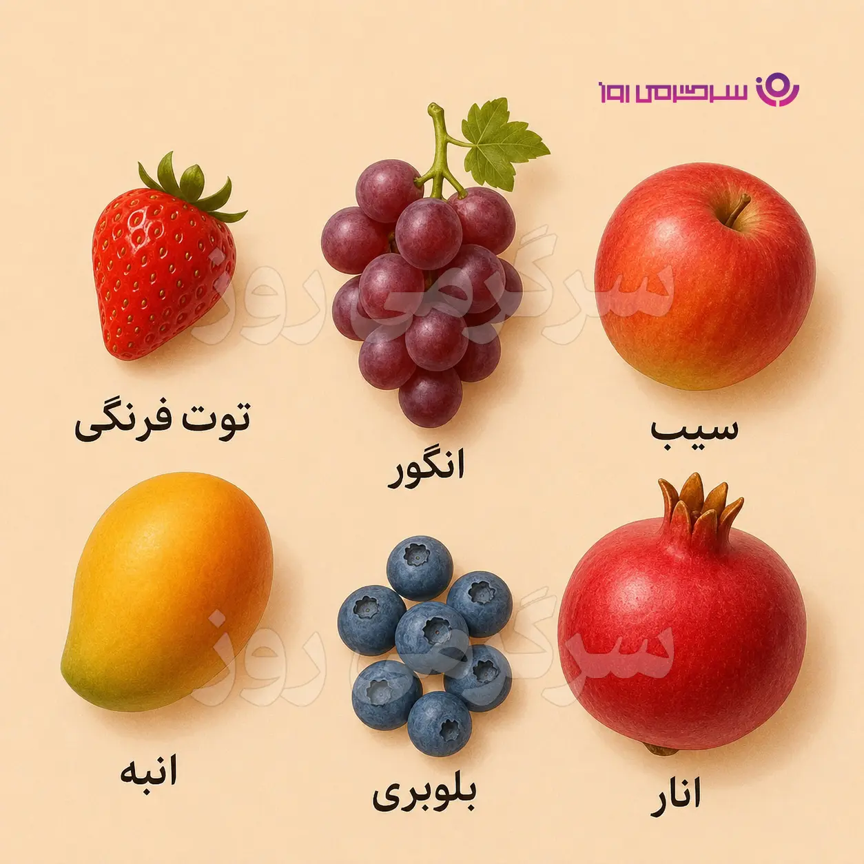 تست شخصیت شناسی