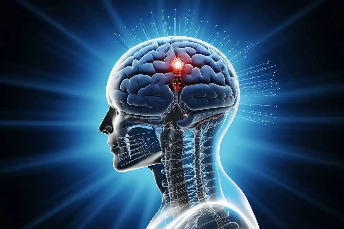  این دو ماده مغز را سلامت نگه می‌دارد 