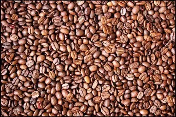 بازی فکری : اگه تیزبینی چشمات مثل خلبان های f35 هست تو 5 ثانیه چهره مخفی و پیدا کن!