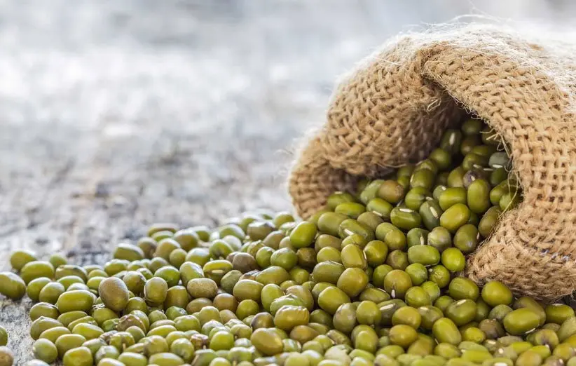 مصرف این دانه صنعت داروسازی جهان را ورشکست می کند