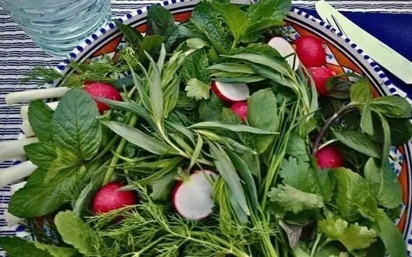 آموزش کاشت سبزی خوردن در خانه
