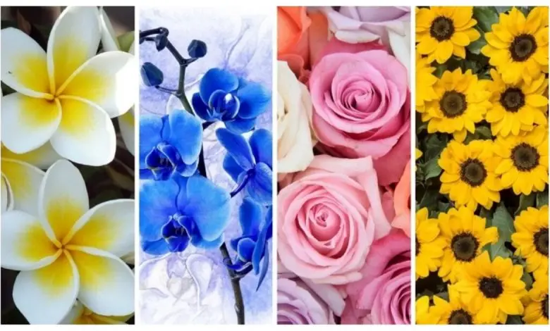 تست شخصیت شناسی | یک گل انتخاب کن تا بگم بزرگترین چالش زندگیت در حال حاضر چیه؟