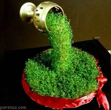 سبزه امسالتو یطوری متفاوت بکار که همه تو کفش بمونن | آموزش کاشت سبزه به شکل آبشاری + ویدیو