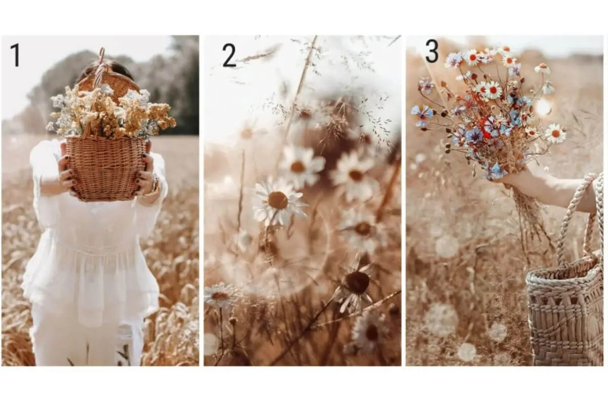 این تست شخصیت پیشگویی میکند چه چیزی در راه است | جوابش تو را شوکه خواهد کرد!
