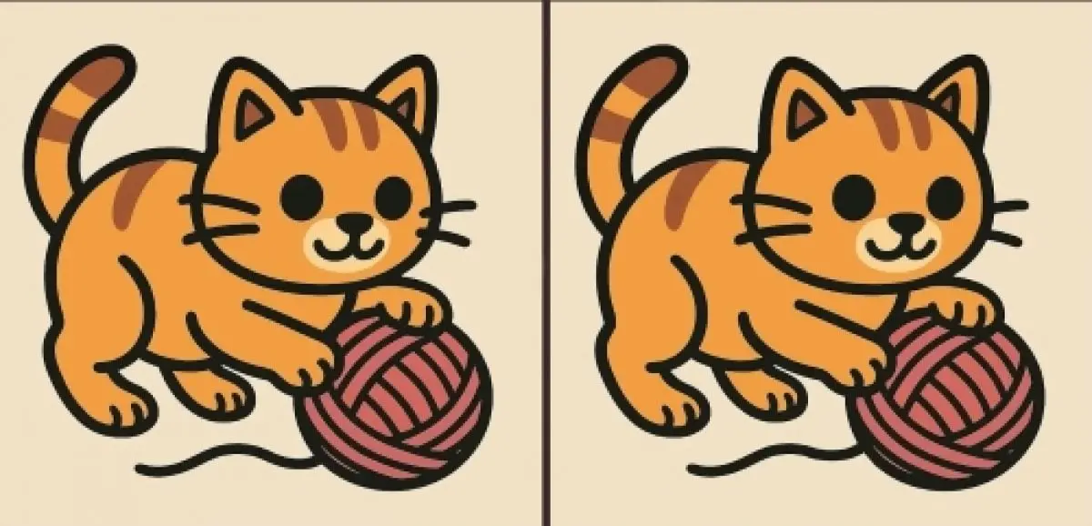 بازی فکری: در ۴۳ ثانیه سه اختلاف در تصویر گربه بازیگوش را پیدا کنید