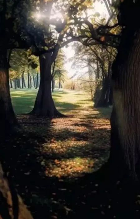 اولین بار در این تصویر چه می بینید؟ پاسخ شما مشخص خواهد کرد که آیا برای عشق آماده هستید یا خیر
