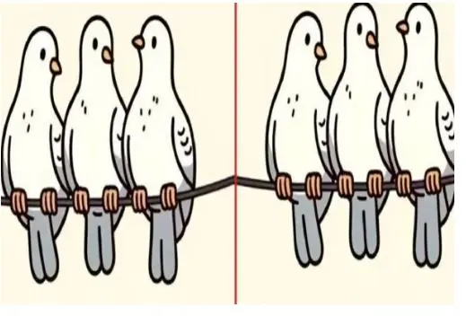 بازی فکری؛ 3 اشتباه تصویرو تو 5 ثانیه بگی هیچوقت آلزایمر  نمیگیری