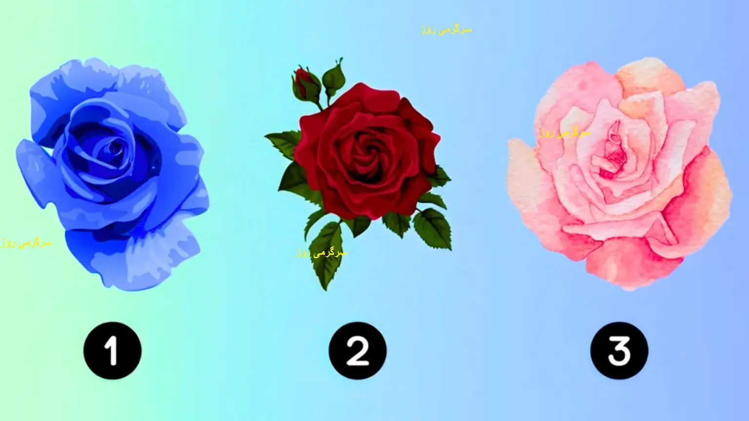 گل رز مورد علاقه خود را انتخاب کنید و همسر ایده آل خود را در 20 ثانیه کشف کنید | تست شخصیت شناسی