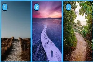 تست شخصیت شناسی | مسیری که انتخاب میکنی یک حقیقت تکان دهنده از زندگیت میگه!