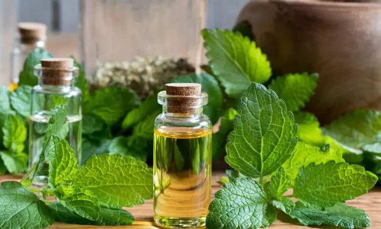 نکات خانه داری | با ترفند طلایی همه حشرات خانه و آشپزخانه را از بین ببرید | بدون نیاز به مواد شیمیایی