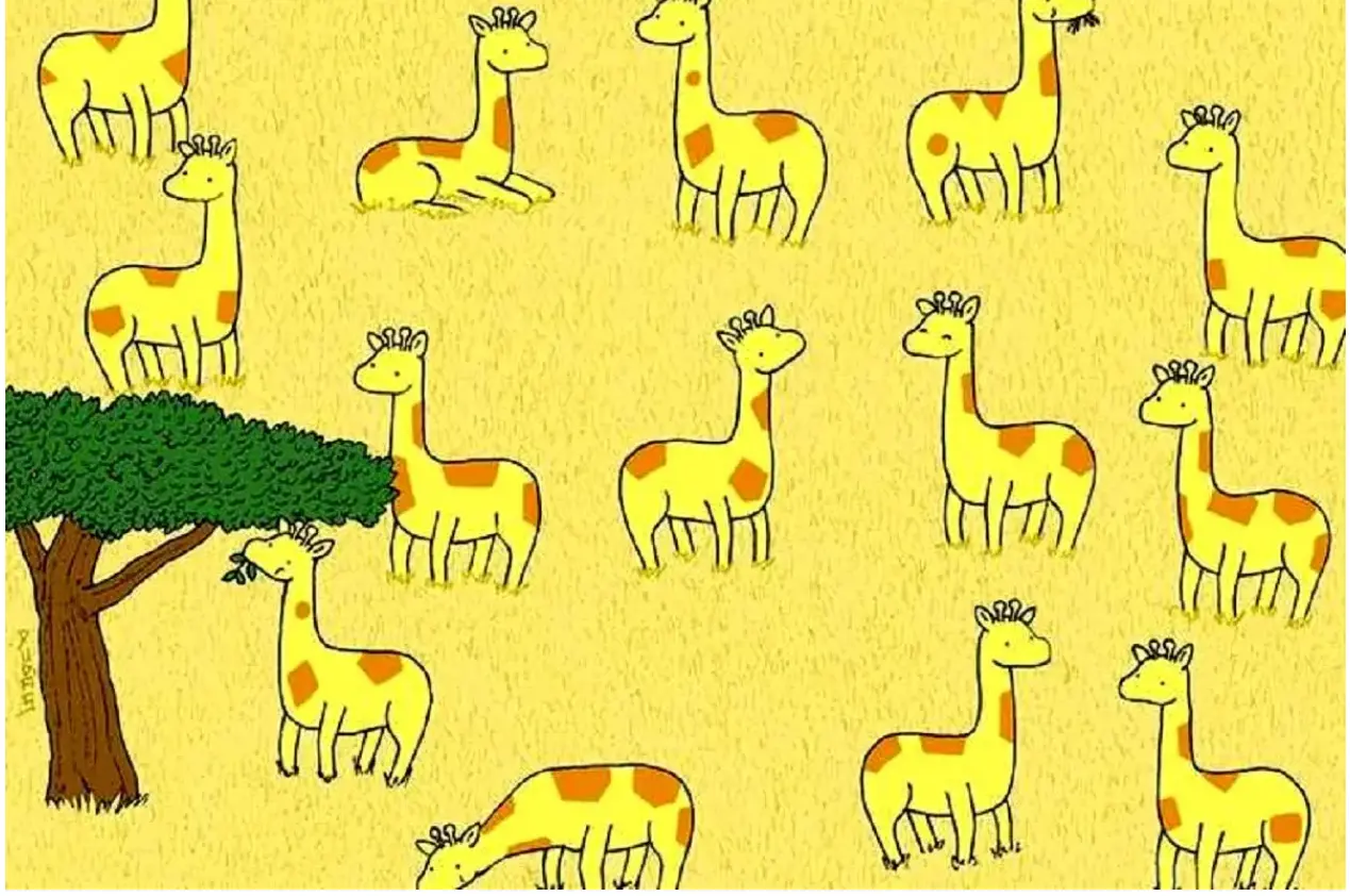 بازی فکری : فقط 9 ثانیه زمان داری که ثابت ن چشمات از شاهین تیزتره و زرافه متفاوت و پیدا کنی!