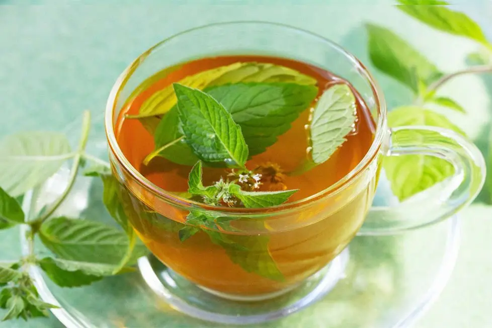 از خروپف تا فراموشی؛ فقط با نوشیدن این چای همه مشکلات حل می‌شود