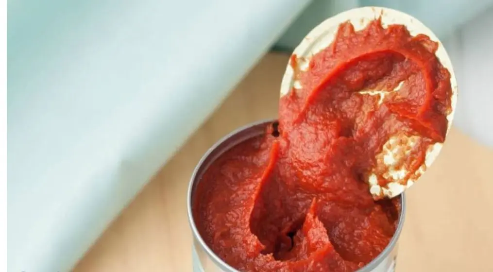 چرا رب کپک میزنه؟ | روش های جلوگیری از کپک زدن رب