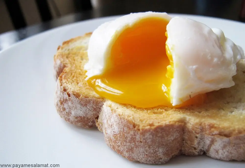 هشدار مرگبار: این باکتری در تخم مرغ نیم پز کمین کرده است