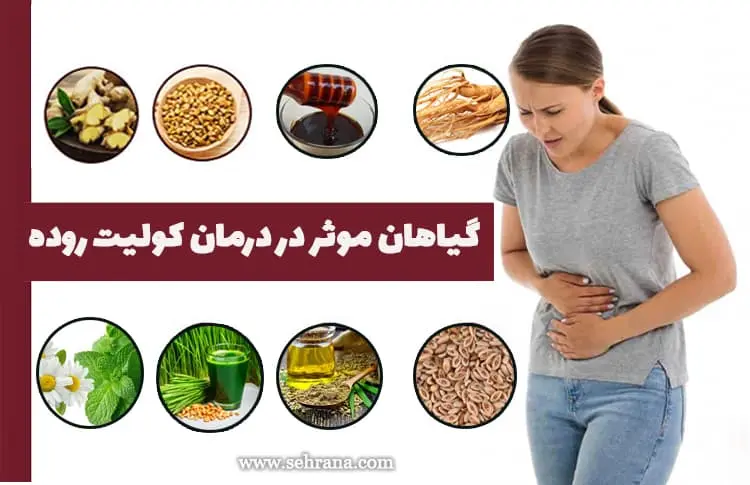  بیماری های روده را با این خوراکی ها فراری دهید 