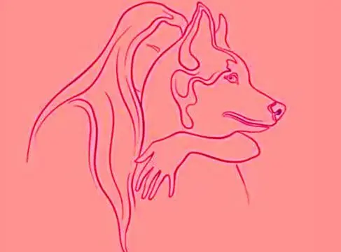 بگو اول چی دیدی تا بگم چقدر آدم تنهایی هستی | تست شخصیت شناسی