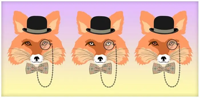 بازی فکری :اگه خیلی باهوشی تو 4 ثانیه بگو روباه متفاوت کدام است؟