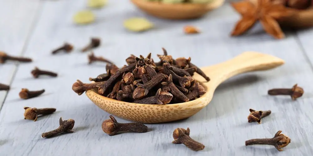 ادویه‌ای دم دستی با قدرتی جادویی برای استخوان‌ سازی و کنترل قند خون