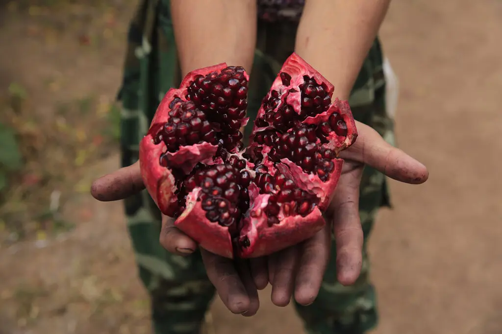  ۱۲ خاصیت بی‌نظیر پوست انار که یه عمر ازش غافل بودیم