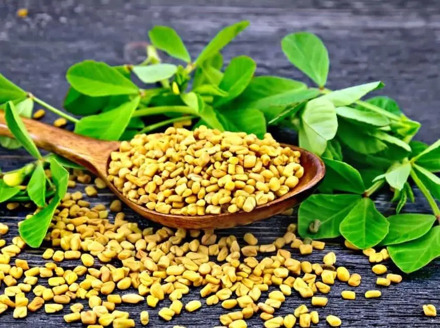 با مصرف دانه این سبزی دم دستی با آلزایمر خداحافظی کنید