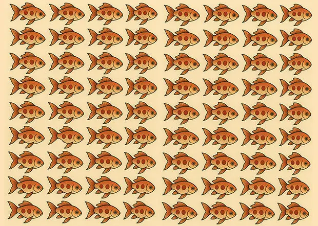 بازی فکری : ماهی قرمز متفاوت کدام است؟ اگر جشمات مثل شاهینه ، در عرض 4 ثانیه پیدا کنید!