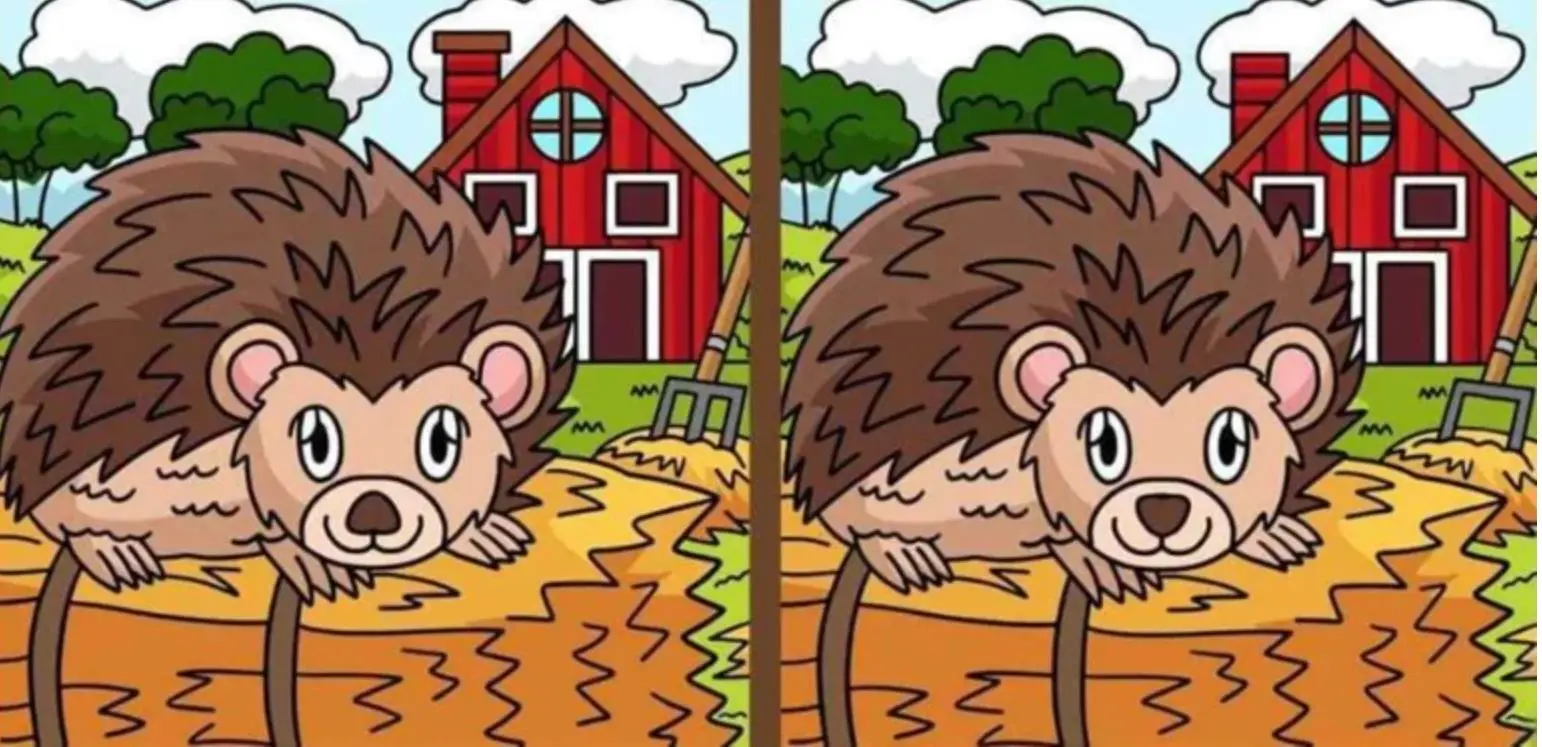 بازی فکری : اگه چشمات مثل شاهینه فقط 14 ثانیه وقت داری که 4 اختلاف و پیدا کنی!