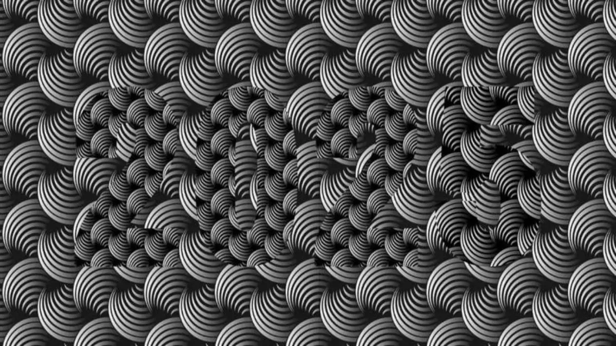 بازی فکری :فقط یه ابَرانسان با چشمان شاهینی عدد داخل تصویر و تو 12 ثانیه میبینه!