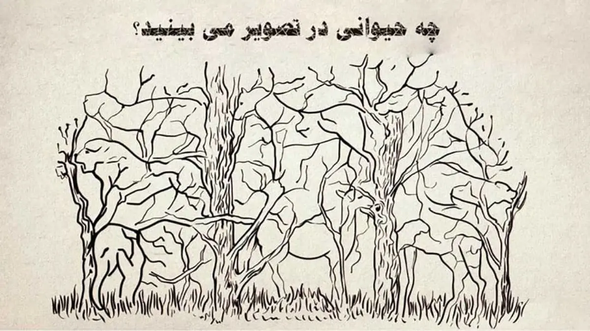 تست شخصیت شناسی | اولین حیوونی که تشخیص بدی ریز به ریز شخصیتت رو تشریح میکنه برات