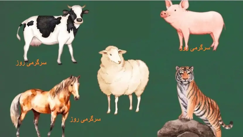 حیوان مورد علاقه خود را انتخاب کنید و در 45 ثانیه بفهمید که عزت نفس بالایی دارید یا خیر ؟ | تست شخصیت شناسی