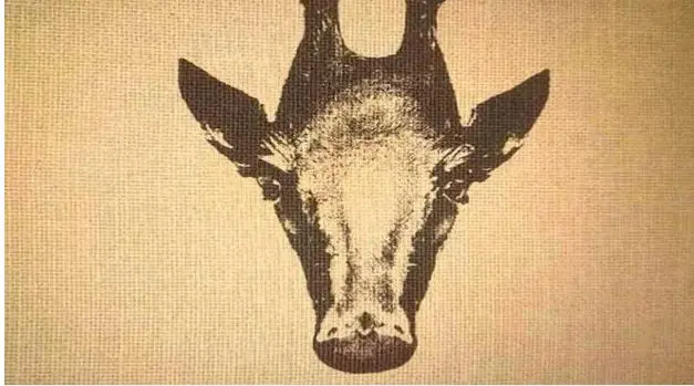 بازی فکری: اگر بتوانید پنگوئن را بینید، هیچوقت آلزایمر نمی گیرید