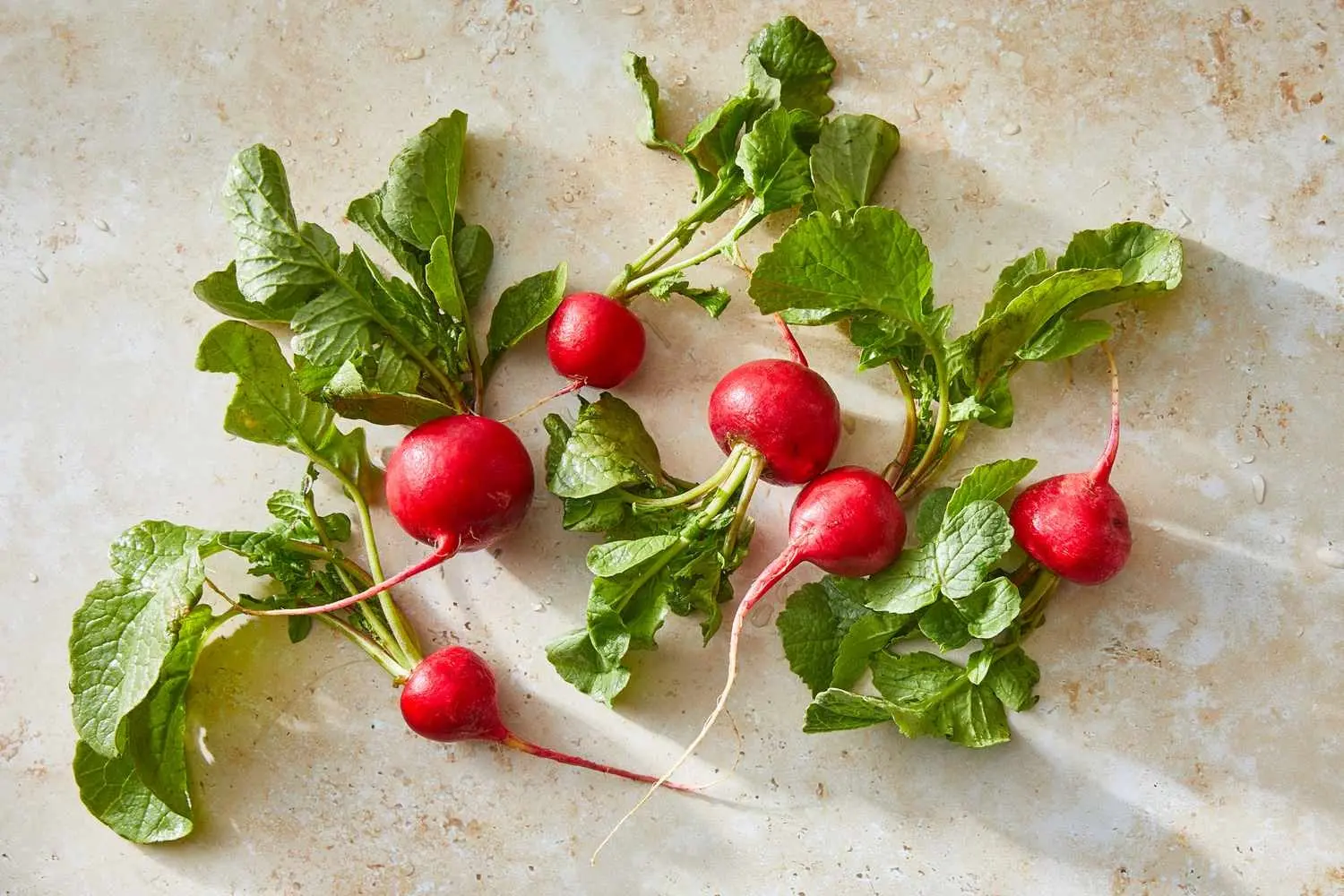 این سبزی مثل یک ضدعفونی قوی، بدن رو از بیماری پاک می‌کنه | خواص اعجاب انگیزی که تا حالا نشنیدی