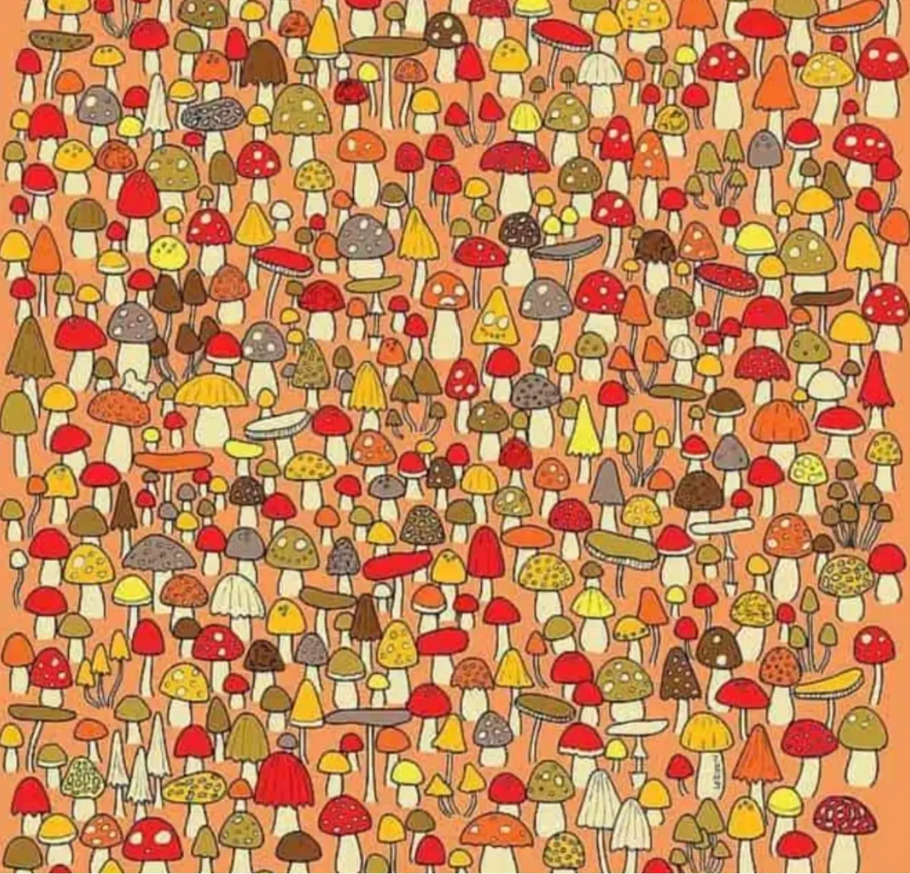 بازی فکری : فقط اونایی که مثل گربه های شکارچی اند می تونن موش و تو 5 ثانیه پیدا کنن!