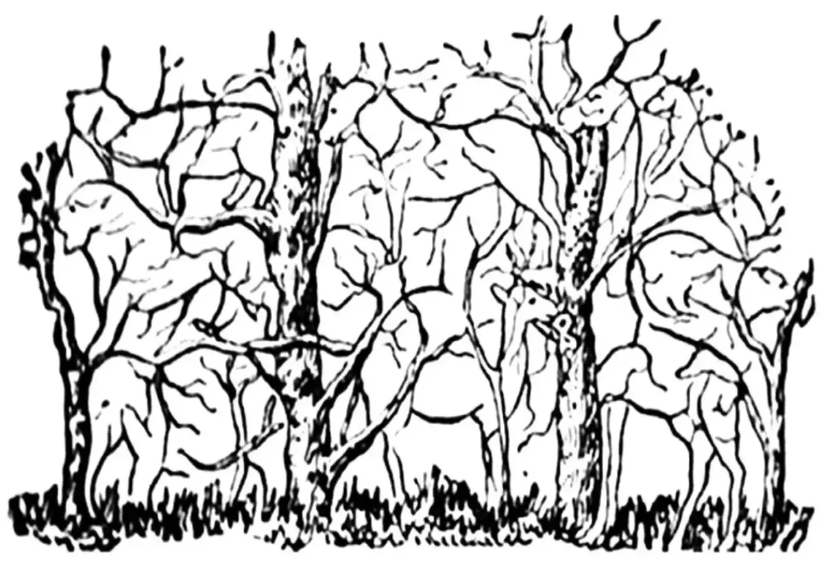 بازی فکری : فقط یک ذهن آروم با ضریب هوشی بالا میتونه بگه چندتا حیوان تو عکس هست؟