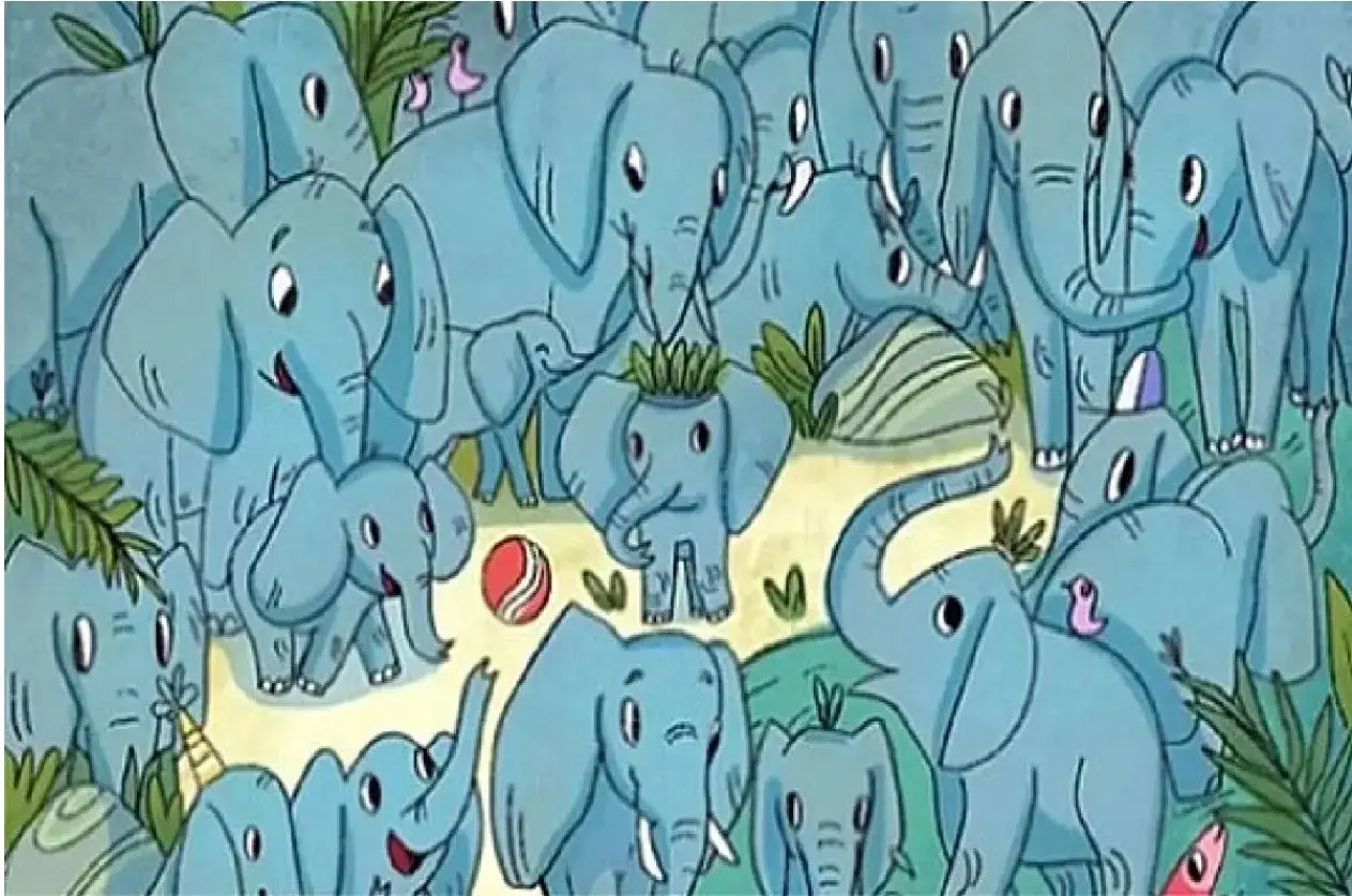 بازی فکری: باید شیش دنگ باهوش باشی تا کرگدن رو بین بچه فیل‌ها پیدا کنی؟