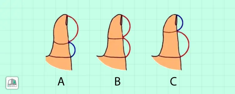 تست شخصیت شناسی | انگشت شصت عشق شما چه مدلیه تا تمام رازهاشو برات بگم