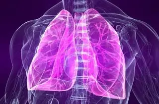 این خوراکی ها ریه هاتو تر و تمیز میکنه