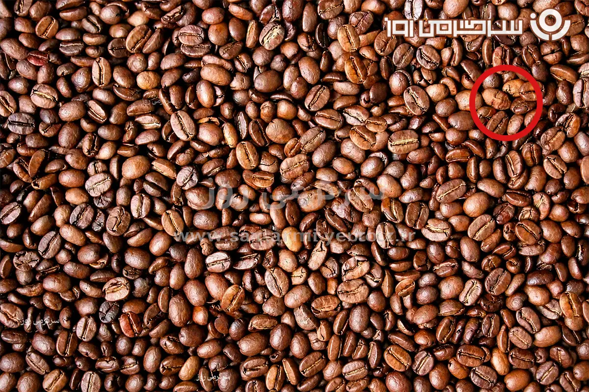 بازی فکری