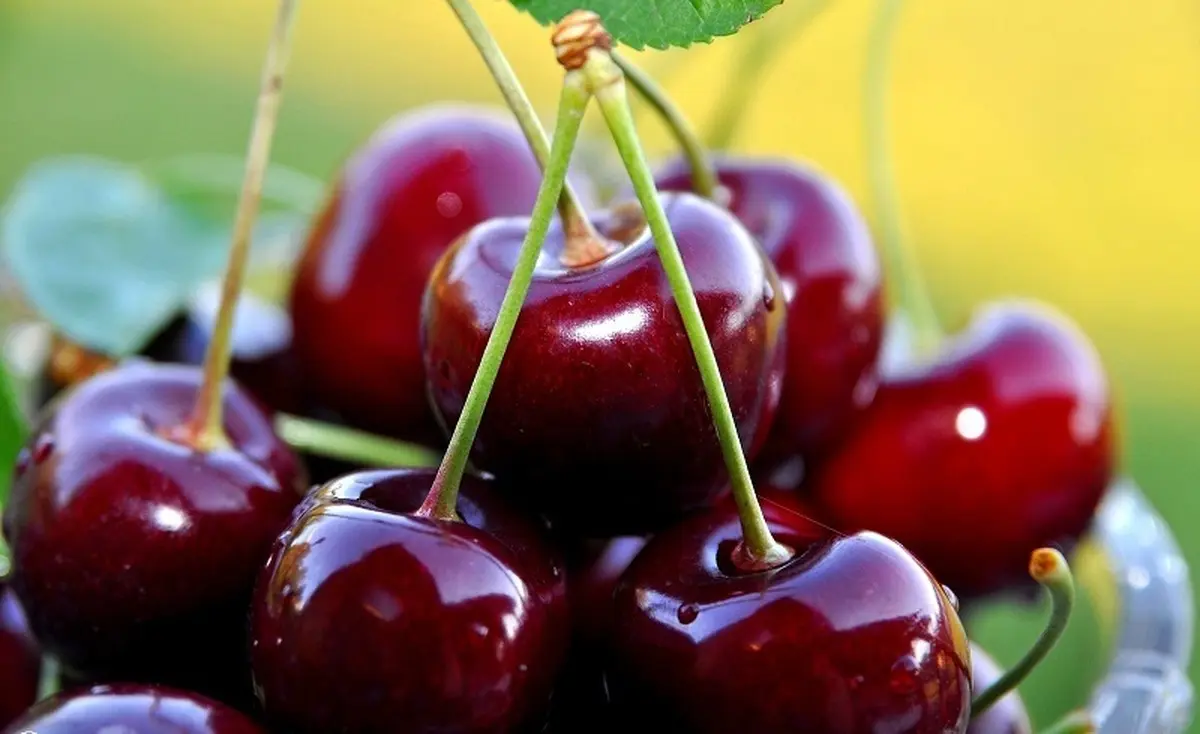 با این میوه تابستانی بدون قرص مشکلات خوابتان را برطرف کنید

