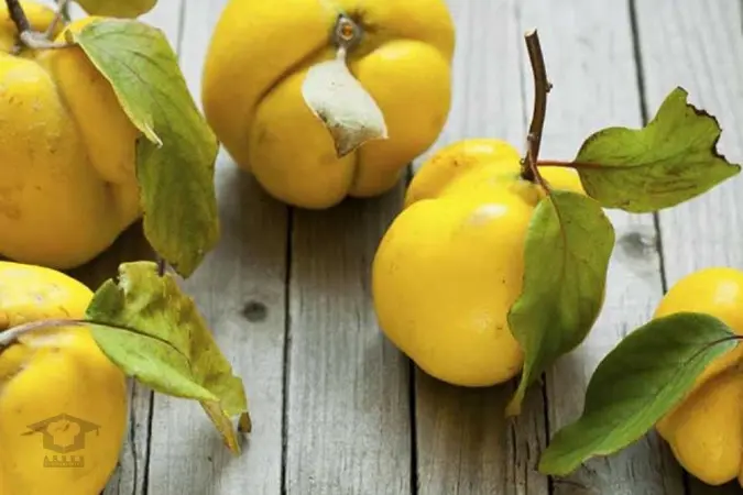  فصل میوه قاتل فشار خون بالا فرا رسید |  هزاران نفر در پاییز با این شاه میوه درمان شده اند 